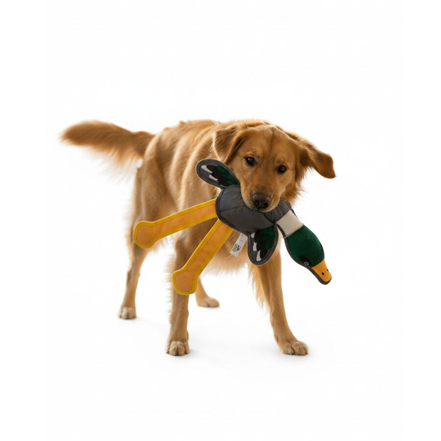 Love the Earth Peluche pato para c&atilde;es, , large Imagem n&uacute;mero 4