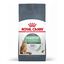 10 kg Royal Canin Adult Digestive ração para gatos, , large Indicador imagem número 1