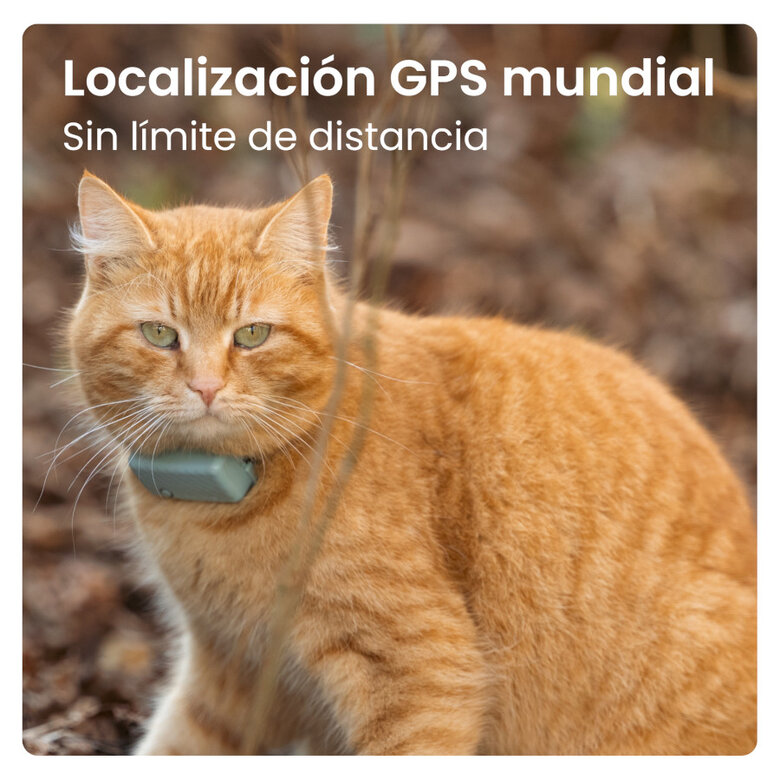 Tractive Cat Mini GPS Tracker Mint para gatos,  Imagem número 4 Tractive Cat Mini GPS Tracker Mint para gatos, , large Imagem número 4