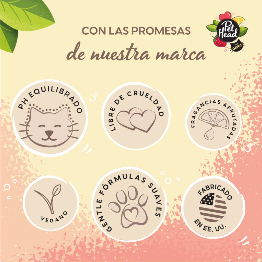 Pet Head Shampoo seco para gato em espuma 300ml, , large Imagem n&uacute;mero 4