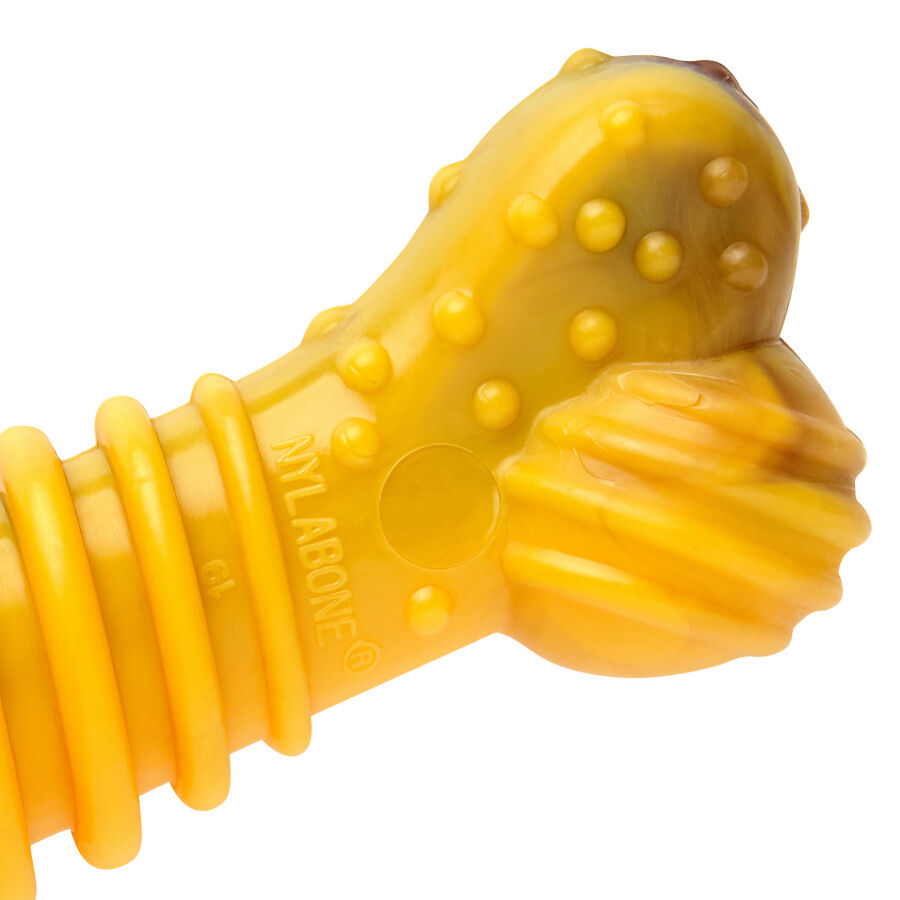 Nylabone Extreme Chew Texture Osso Mordedor Resistente para c&atilde;es, , large Imagem n&uacute;mero 2