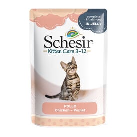 Schesir Kitten Frango saqueta para gatinhos