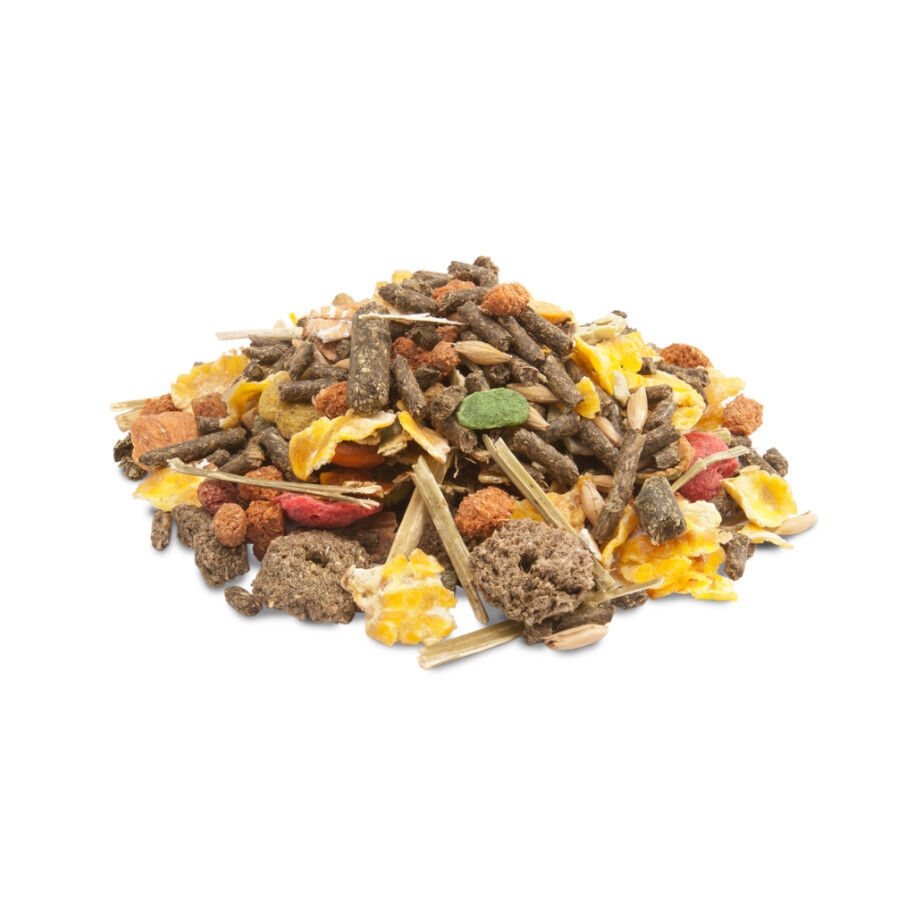 Versele-Laga Crispy Muesli ra&ccedil;&atilde;o para porquinhos-da-&iacute;ndia, , large Imagem n&uacute;mero 2