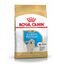 12 kg Royal Canin Puppy Golden Retriever ração para cães, , large Indicador imagem número 1