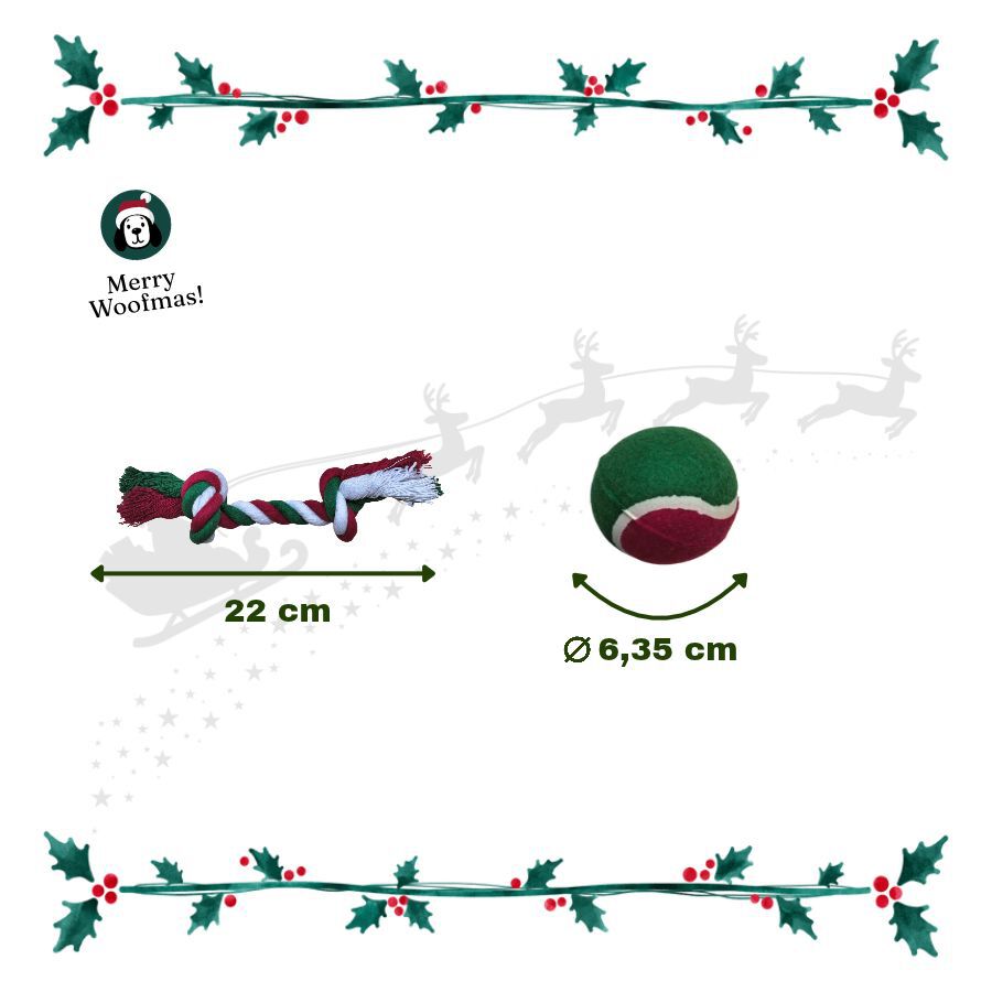 1 pack x 5 uns. Wonder Christmas Caixa de Snacks e Brinquedos para C&atilde;es, , large Imagem n&uacute;mero 3