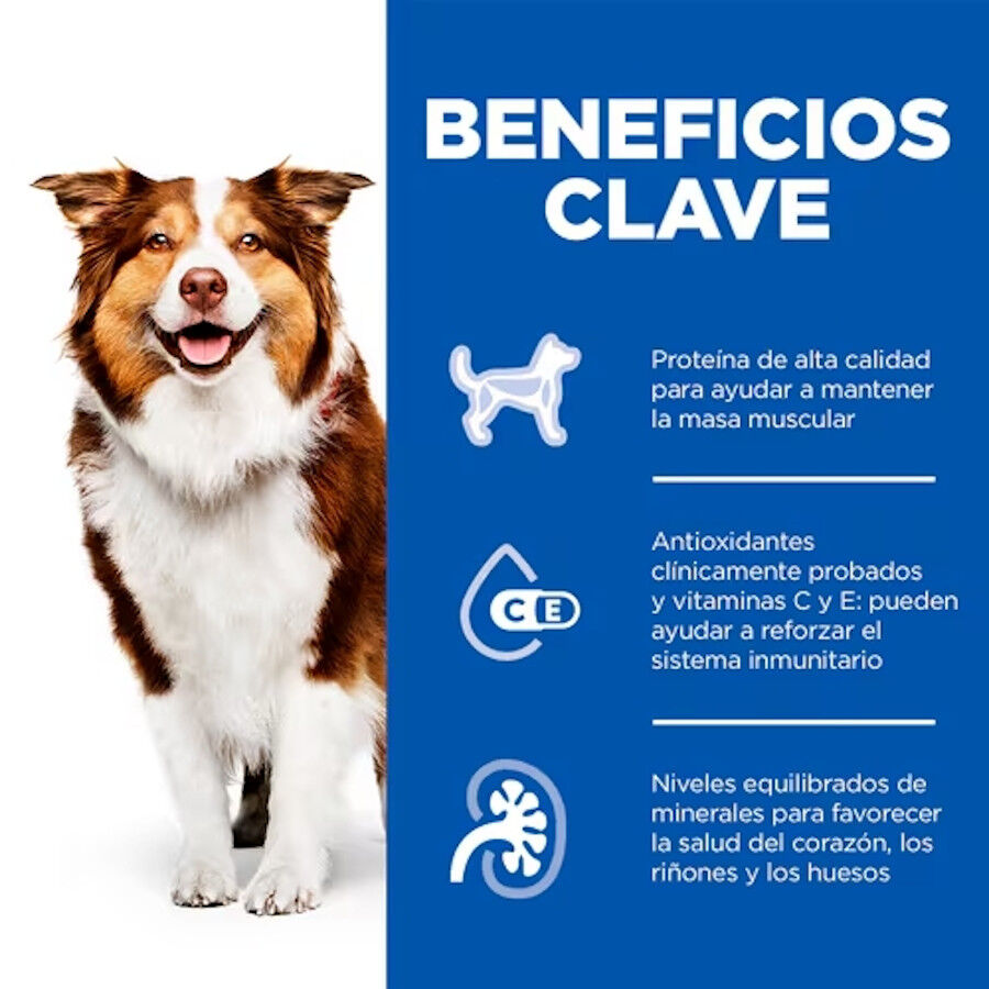 370 g Hill's Science Plan Mature Adult 7+ Carne de vaca em pat&eacute; em lata para c&atilde;es, , large Imagem n&uacute;mero 3