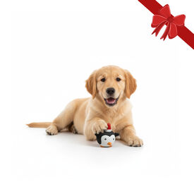 Wonder Christmas Bola Pinguim de Natal para Cães,  Wonder Christmas Bola Pinguim de Natal para Cães