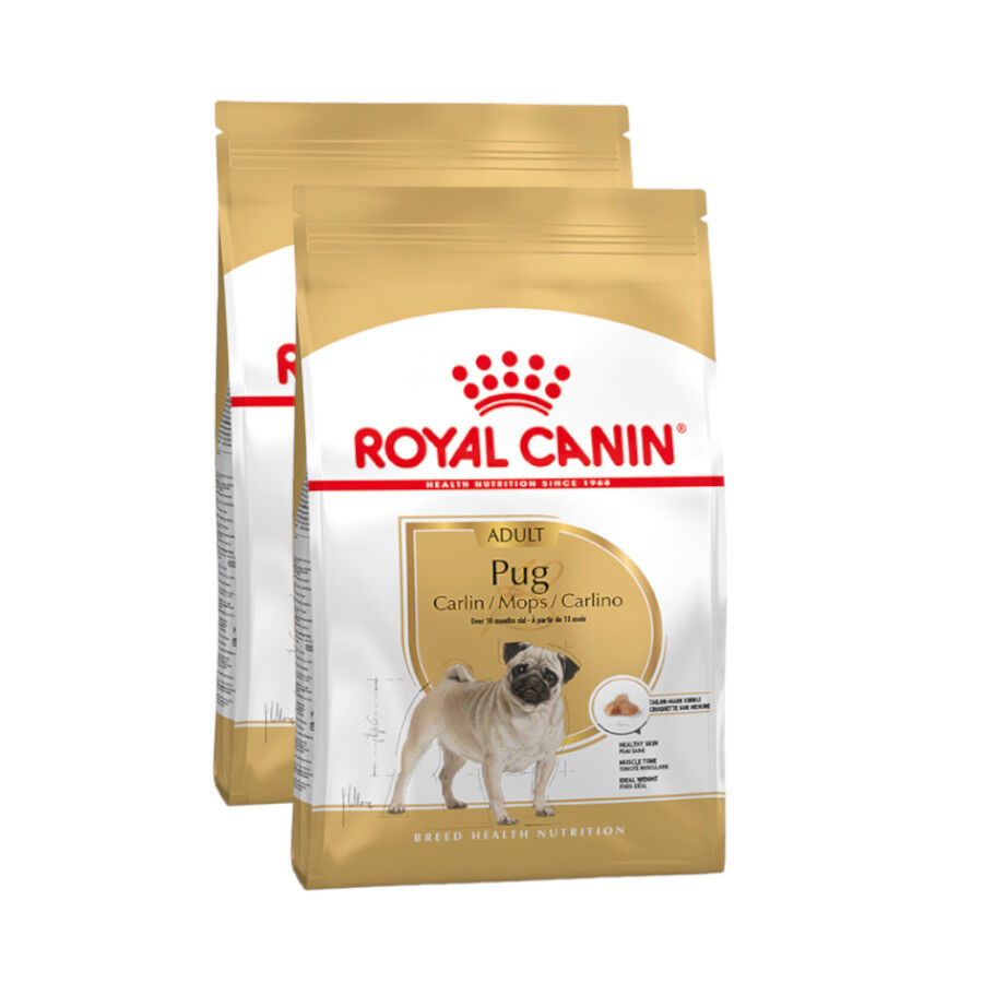 2 x 3 kg Royal Canin Adult Pug ra&ccedil;&atilde;o para c&atilde;es Pack poupan&ccedil;a!, , large Imagem n&uacute;mero 1