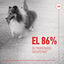 240 g Royal Canin Skin & Coat Chews Suplemento Nutricional Adulto para Cães, , large Indicador imagem número 8
