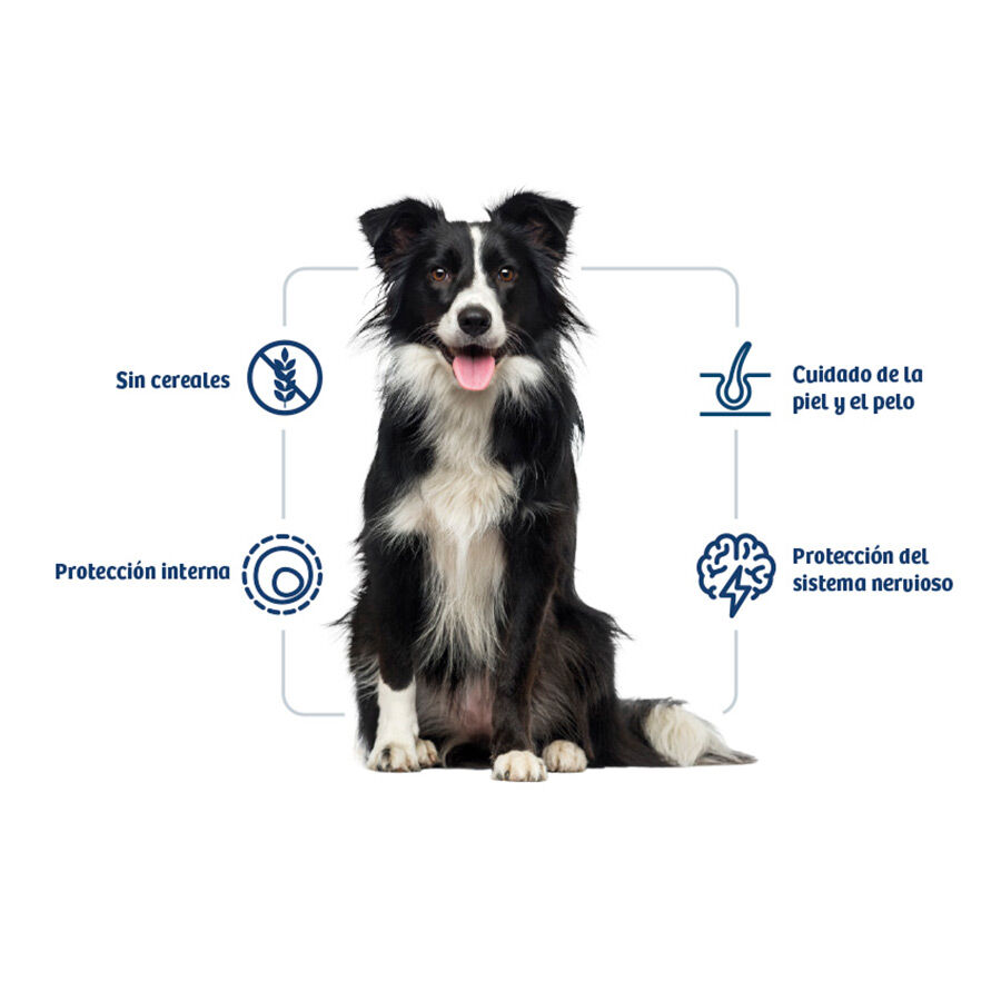 3 kg Nath Adult Medium / Maxi Sensitive Peixe Branco e Salm&atilde;o ra&ccedil;&atilde;o para c&atilde;es, , large Imagem n&uacute;mero 2