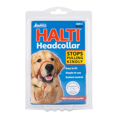 Halti Coleira anti-puxão para cão