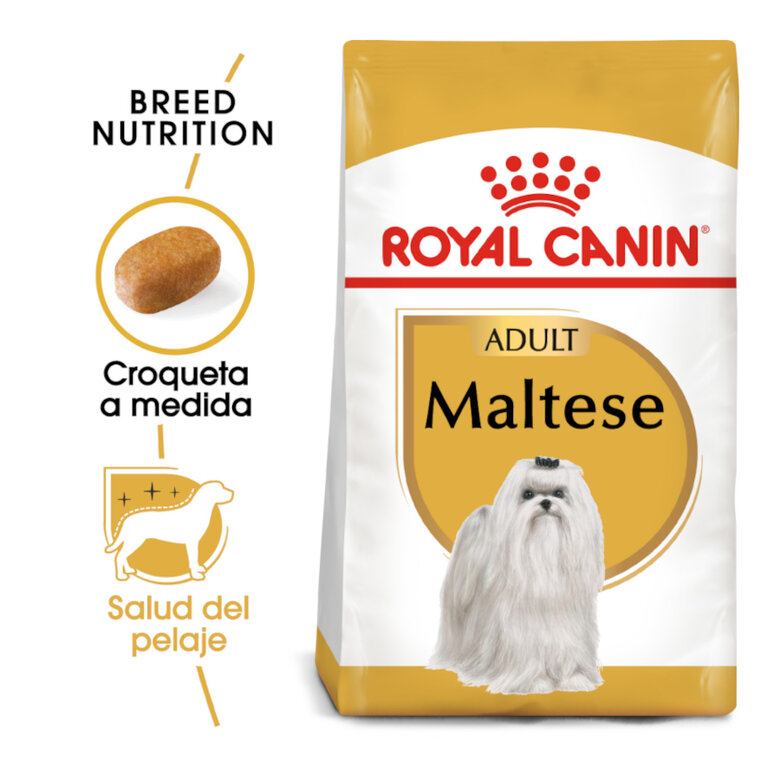 1.5 kg Royal Canin Adult Bichón Maltês ração para cães ,  Imagem número 2 1.5 kg Royal Canin Adult Bichón Maltês ração para cães , , large Imagem número 2