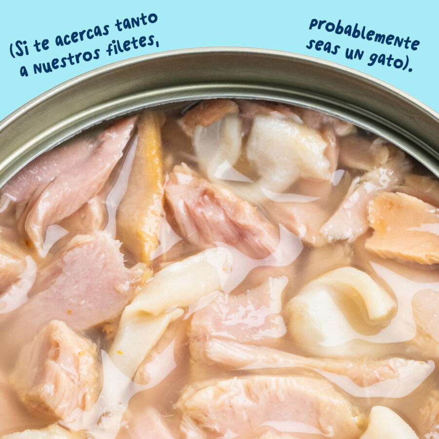 70 g Edgard & Cooper Alimento h&uacute;mido de atum e lula em lata para gatos, , large Imagem n&uacute;mero 5