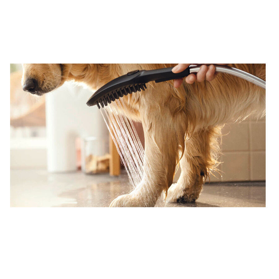 Hansgrohe Chuveiro Preto para c&atilde;es, , large Imagem n&uacute;mero 5