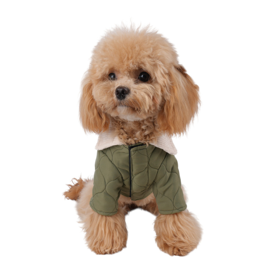 Gotoo Casaco Acolchoado Verde para c&atilde;es, , large Imagem n&uacute;mero 7