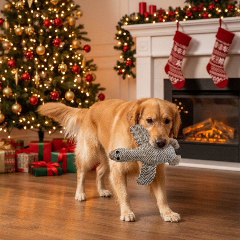 Wonder Christmas Peluche Pato de Natal para Cães,  Imagem número 3 Wonder Christmas Peluche Pato de Natal para Cães, , large Imagem número 3