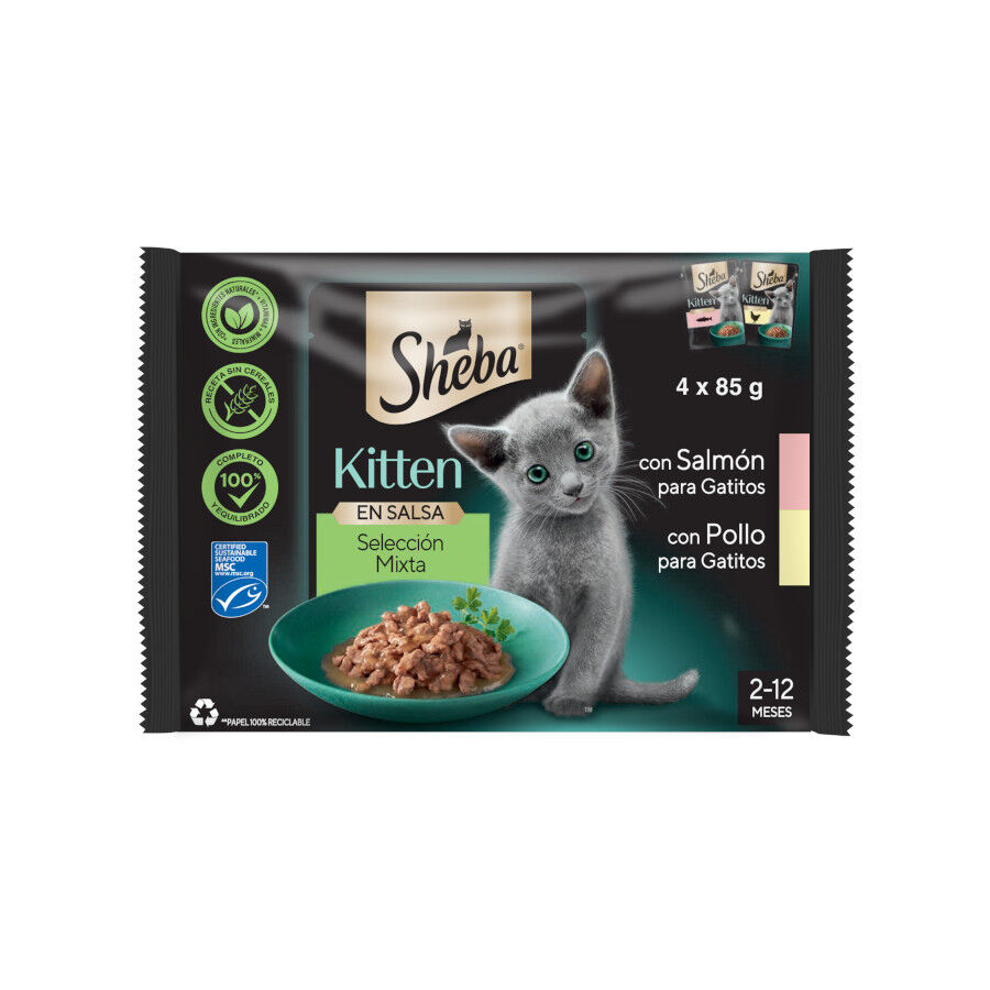 4 saquetas x 85 g Sheba Kitten Sach&ecirc; de Frango e Salm&atilde;o em Molho para Gatos, , large Imagem n&uacute;mero 1