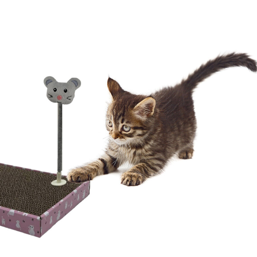 Leeby Babette Brinquedo em forma de ratinho para arranhador de gatos, , large Imagem n&uacute;mero 1