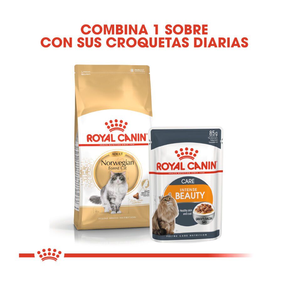 10 kg Royal Canin Adult Bosques da Noruega Ra&ccedil;&atilde;o para gatos, , large Imagem n&uacute;mero 3