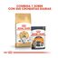 10 kg Royal Canin Adult Bosques da Noruega Ração para gatos, , large Indicador imagem número 3