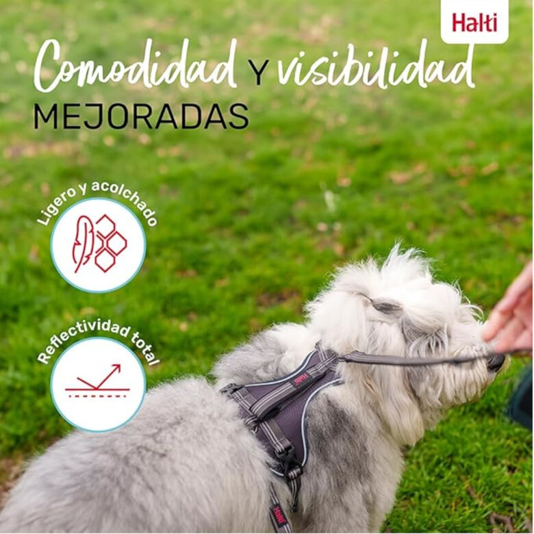 Halti Peitoral Anatómico Cinza para cães pequenos,  Imagem número 4 Halti Peitoral Anatómico Cinza para cães pequenos, , large Imagem número 4