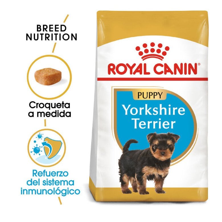 Royal Canin Puppy Yorkshire Terrier ração para cães,  Imagem número 2 Royal Canin Puppy Yorkshire Terrier ração para cães, , large Imagem número 2