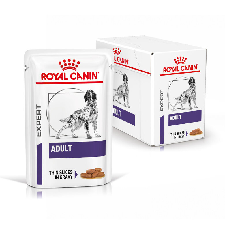12 saquetas x 100 g Royal Canin Expert Adult Saqueta em Molho para cães,  Imagem número 2 12 saquetas x 100 g Royal Canin Expert Adult Saqueta em Molho para cães, , large Imagem número 2
