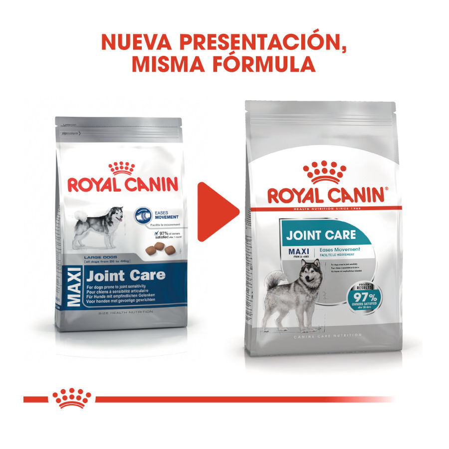10 kg Royal Canin Joint Care Maxi ra&ccedil;&atilde;o para c&atilde;es, , large Imagem n&uacute;mero 3