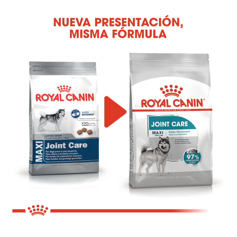 Royal Canin Joint Care Maxi ração para cães, , large image number null