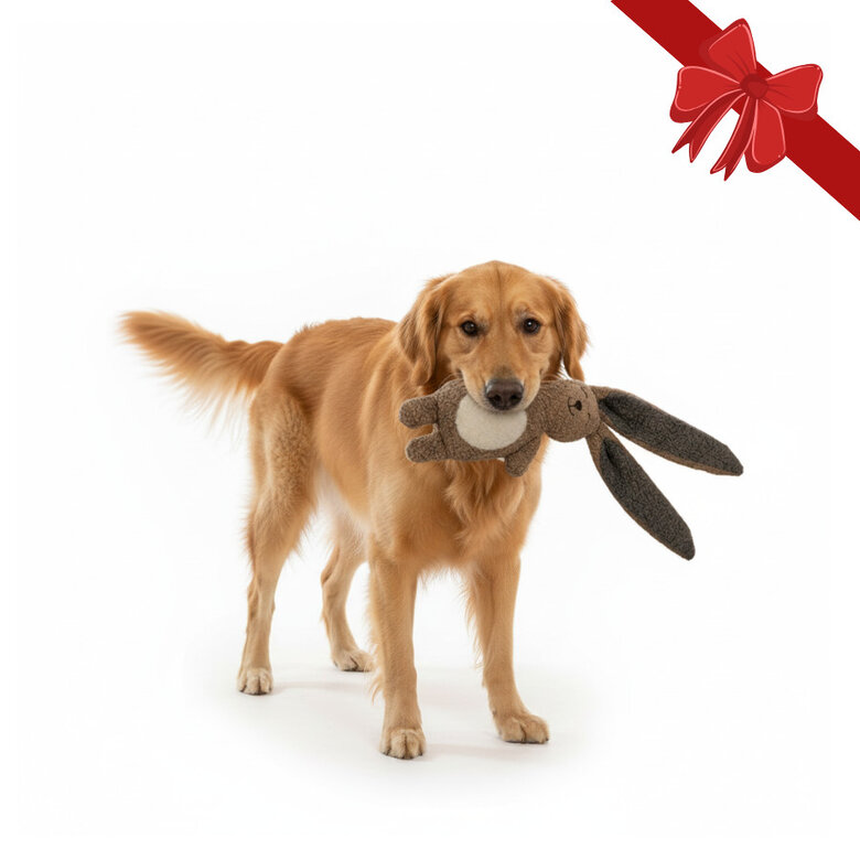 Wonder Christmas Peluche Coelho de Natal para Cães,  Imagem número 1 Wonder Christmas Peluche Coelho de Natal para Cães, , large Imagem número 1