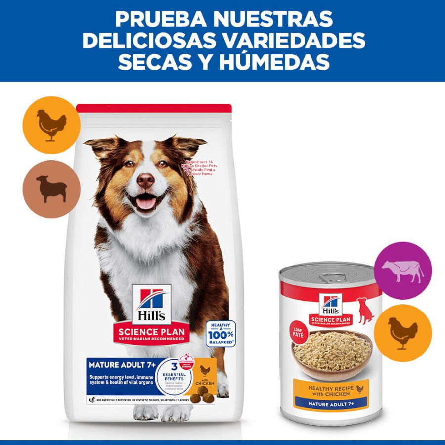 14 kg Hill's Science Plan Medium Mature Adult Frango ra&ccedil;&atilde;o para c&atilde;es, , large Imagem n&uacute;mero 8