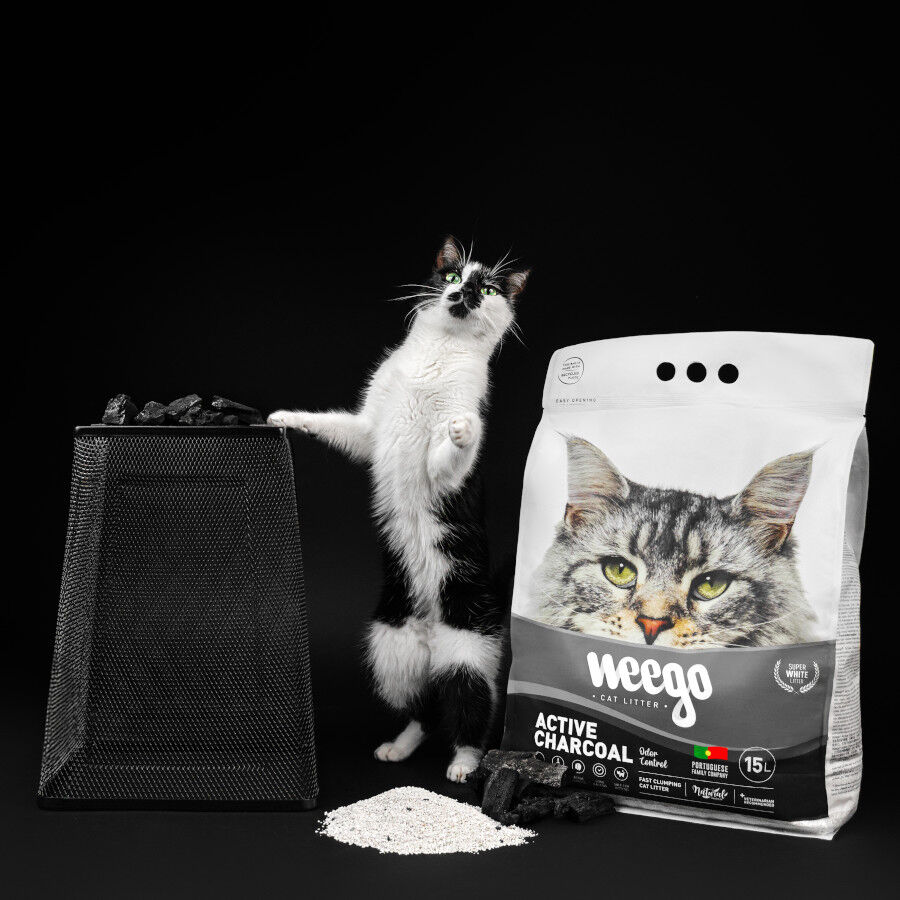 Weego Active Charcoal Areia aglomerante para gatos, , large Imagem n&uacute;mero 5