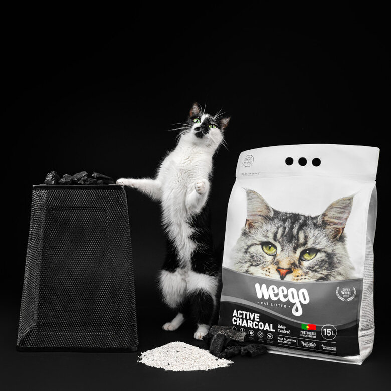 Weego Active Charcoal Areia aglomerante para gatos,  Imagem número 5 Weego Active Charcoal Areia aglomerante para gatos, , large Imagem número 5