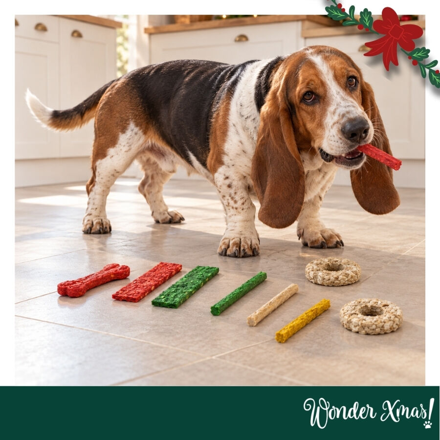 1 pack x 9 uns. Wonder Christmas Saco de Presente com Snacks de Couro Prensado para C&atilde;es, , large Imagem n&uacute;mero 2