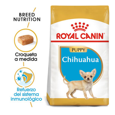 Royal Canin Puppy Chihuahua ração para cães 