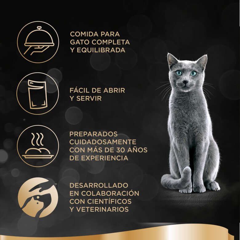 4 saquetas x 85 g Sheba Delicatezze Aves Geleia em Saqueta para Gatos - Multipack,  Imagem número 6 4 saquetas x 85 g Sheba Delicatezze Aves Geleia em Saqueta para Gatos - Multipack, , large Imagem número 6