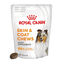 240 g Royal Canin Skin & Coat Chews Suplemento Nutricional Adulto para Cães, , large Indicador imagem número 1