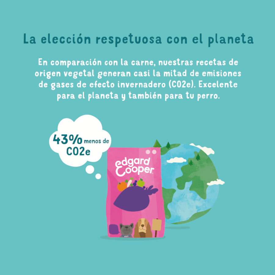 7 kg Edgard & Cooper Ra&ccedil;&atilde;o de beterraba para c&atilde;es, , large Imagem n&uacute;mero 5