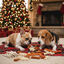 33 uds. Wonder Christmas Surtido de Galletas Navideñas para perros, , large Indicador imagem número 2