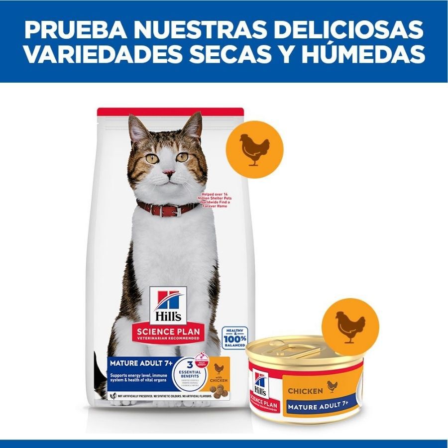 85 g Hill's Science Plan Mature Comida h&uacute;mida Mousse de Frango em lata para gatos, , large Imagem n&uacute;mero 6