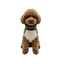 Gotoo Camisola Polar Verde para c&atilde;es, , large Indicador imagem n&uacute;mero 7