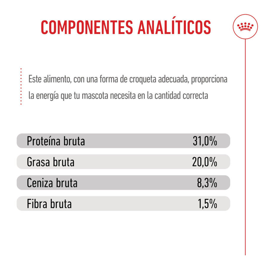 3 kg Royal Canin X-Small Puppy ra&ccedil;&atilde;o para c&atilde;es, , large Imagem n&uacute;mero 9