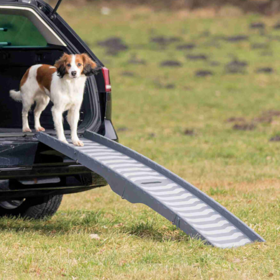 Trixie Rampa Dobr&aacute;vel Cinza de pl&aacute;stico para c&atilde;es, , large Imagem n&uacute;mero 5