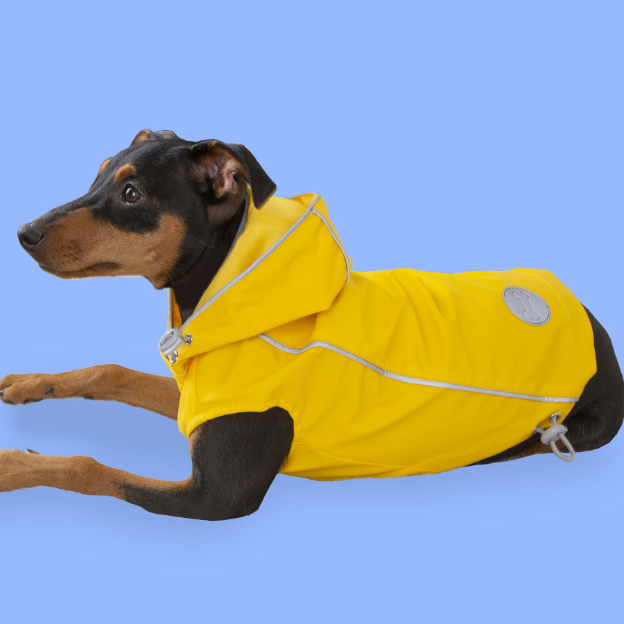 Outech Fisher Capa de chuva amarela para c&atilde;es, , large Imagem n&uacute;mero 3
