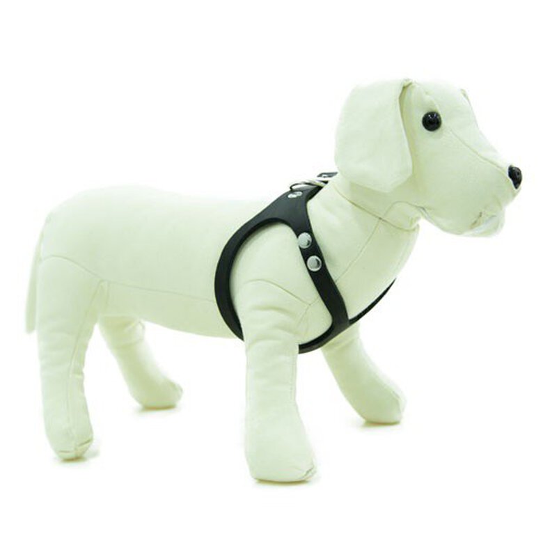 TK-Pet Namur Peitoral de Couro Preto para cães,  Imagem número 1 TK-Pet Royale negro arnés de cuero para perros Imagem número 1
