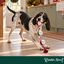 Wonder Christmas Corda e Guizo Brinquedo para c&atilde;es, , large Indicador imagem n&uacute;mero 2