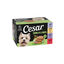 8 terrinas x 150 g Cesar Recetas da horta Terrina em Pat&ecirc; e Geleia para C&atilde;es - Multipack, , large Indicador imagem n&uacute;mero 1