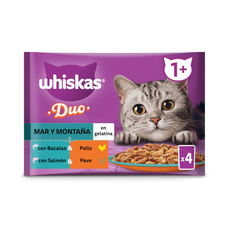 4 saquetas x 85 g Whiskas Duo Sea and Mountain Saqueta de Gelatina para Gatos,  Imagem número 1 4 saquetas x 85 g Whiskas Duo Sea and Mountain Saqueta de Gelatina para Gatos, , large Imagem número 1