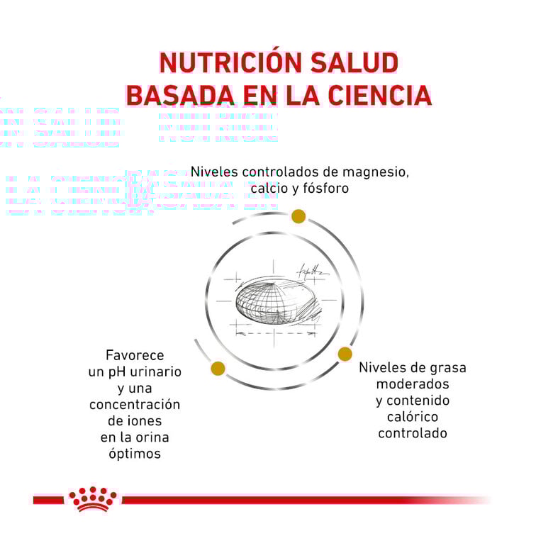 9 kg Royal Canin Veterinary Urinary Moderate Calorie ração para gatos ,  Imagem número 3 9 kg Royal Canin Veterinary Urinary Moderate Calorie ração para gatos , , large Imagem número 3