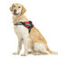 Julius-K9 IDC Peitoral Vermelho para cães, , large Indicador imagem número 2